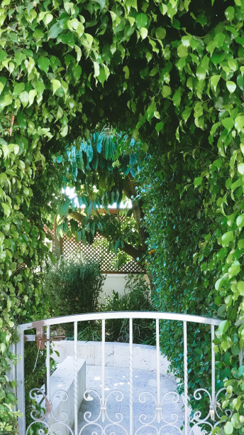 花园中的叶拱和优雅的门图片下载