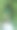 花园中的叶拱和优雅的门图片下载