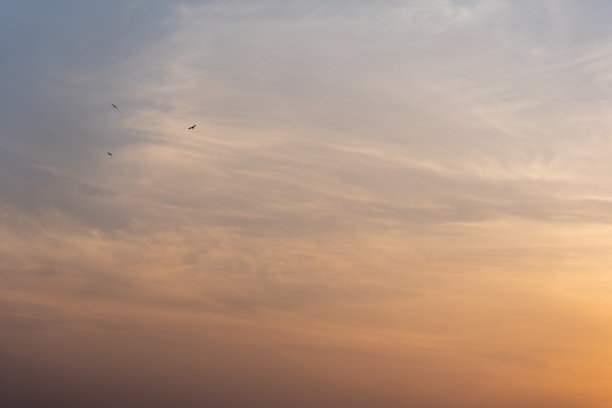 三只鹰在黄金时间飞行和美丽的背景橙色，股票照片图片下载