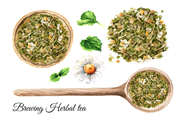 凉茶冲泡装置，俯视图。手绘水彩插图孤立的白色背景图片下载