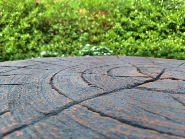 花园里的水泥木桌的照片图片下载