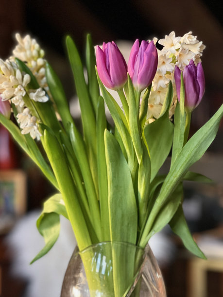 春花背景图片下载