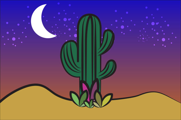 明亮的仙人掌、芦荟和树叶。收集外来植物。仙人掌花。图片下载