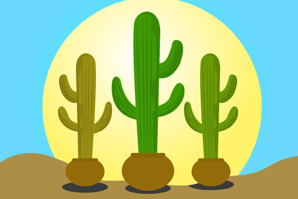 明亮的仙人掌、芦荟和树叶。外来植物收藏图片下载