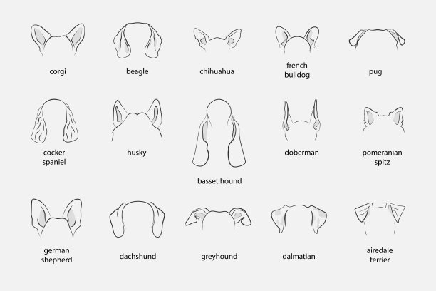 不同的狗耳朵标志黑色细线图标集。向量图片下载