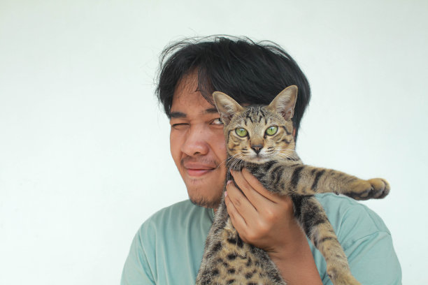 一个亚洲帅哥抱着一只可爱的灰猫，脸上洋溢着快乐的表情。图片下载