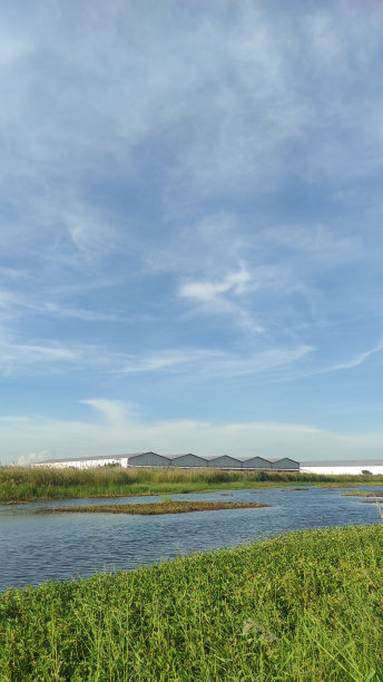 工业区和仓库区旁边有水厂的池塘图片下载