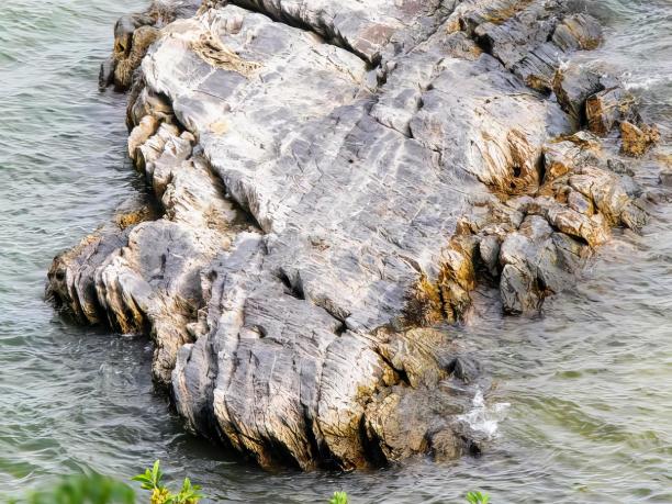 一张水里的大石头的照片，上面有一只鸟栖息。图片下载