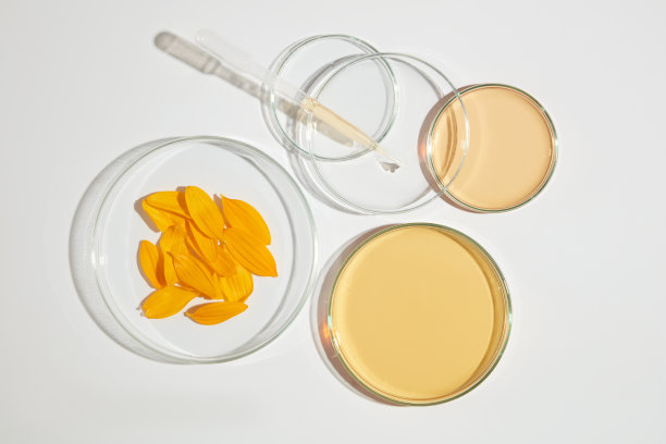在白色的平面上，一组实验室仪器被黄色的液体平躺在里面，上面装饰着一些向日葵花瓣。从向日葵中提取的广告产品照片图片下载
