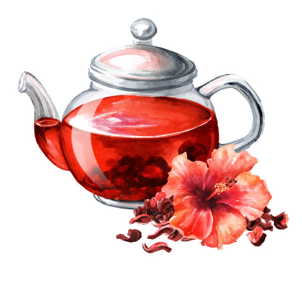 玻璃透明茶壶与芙蓉茶。手绘水彩插图，孤立在白色背景上图片下载