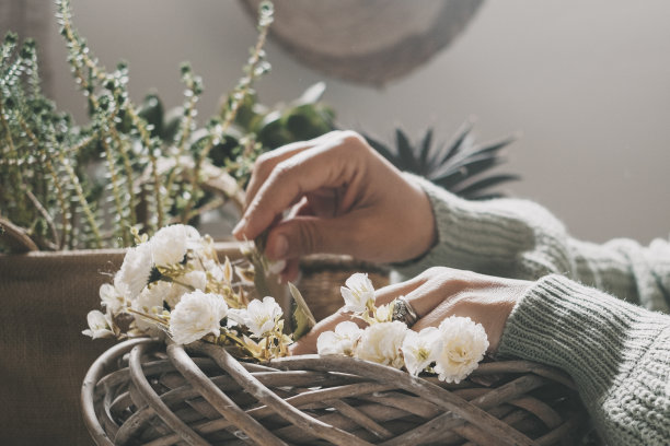 一个女人在木桌上用水桶创作植物园艺作品的特写。室内工作、工作、休闲活动的女性。在室内植物自然中工作的绿色情绪色彩图片图片下载