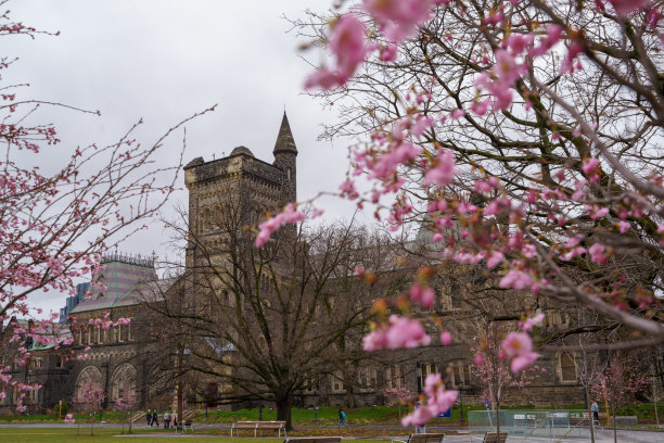 春天的加拿大多伦多大学校园图片下载