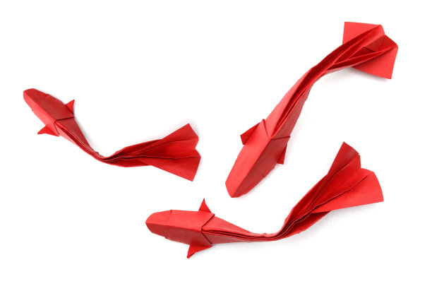 白底纸鱼图片下载