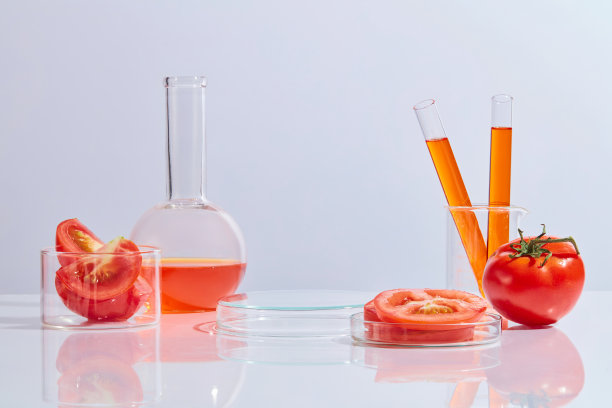 实验室现场的白底正面照片，用成熟的西红柿和从中提取的红色液体装饰。西红柿是-胡萝卜素、番茄红素和维生素C的来源图片下载