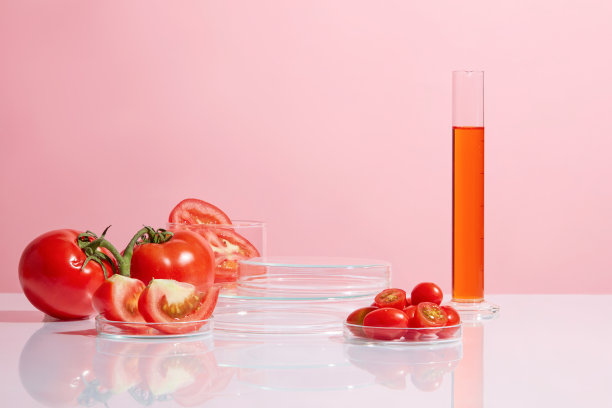 正面照片，许多成熟的西红柿和实验室项目放在白色的桌子上，一个空的透明底座在中央，以西红柿为主要成分的产品为特色图片下载