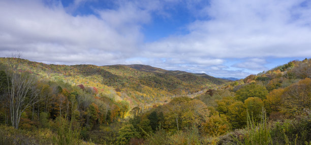 秋天阿巴拉契亚山脉的全景照片，展示了覆盖山坡和山谷的秋天树叶的充满活力的色调。从切罗哈拉高架公路俯瞰，图片下载