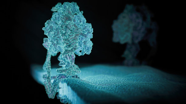 ATP合酶蛋白图片下载