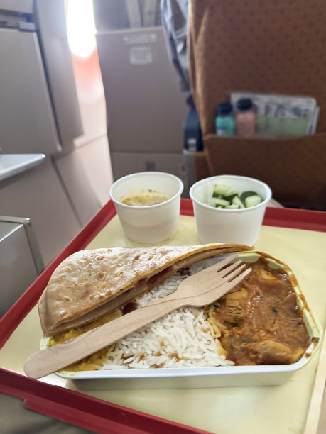 飞机餐盘的图片，里面有印度咖喱配白米饭，帕拉塔(面饼)，切碎的黄瓜和raita(切碎的蔬菜凝乳)，木质叉子餐具，重点放在前景图片下载