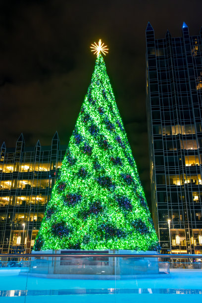 匹兹堡市中心的圣诞树图片下载