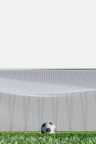 白色背景上的足球场图片下载