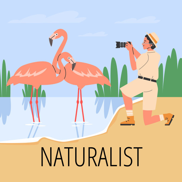 年轻的观察者和火烈鸟在海报矢量设计。图片下载