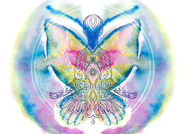 蝴蝶的州图片下载