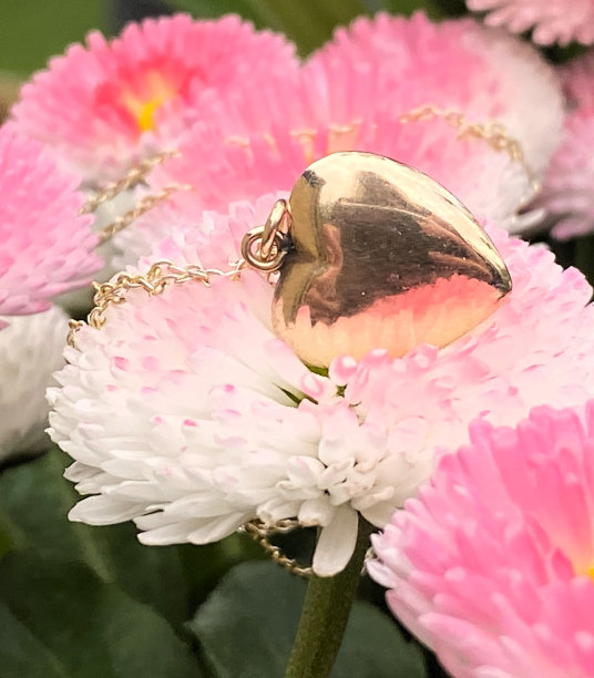 惊喜:一颗藏在p里的金心图片下载