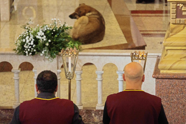 两个传教士和一条狗——天主教教堂图片下载