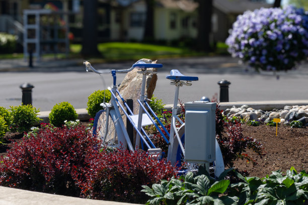 2024年5月9日，美国华盛顿州林登镇图片下载