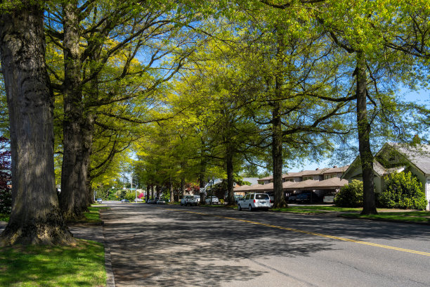 2024年5月9日，美国华盛顿州林登镇图片下载
