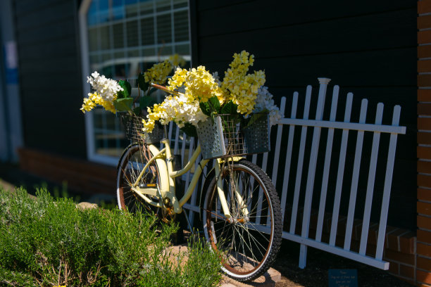 2024年5月9日，美国华盛顿州林登镇图片下载