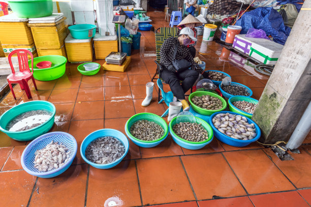 下龙鱼市图片下载
