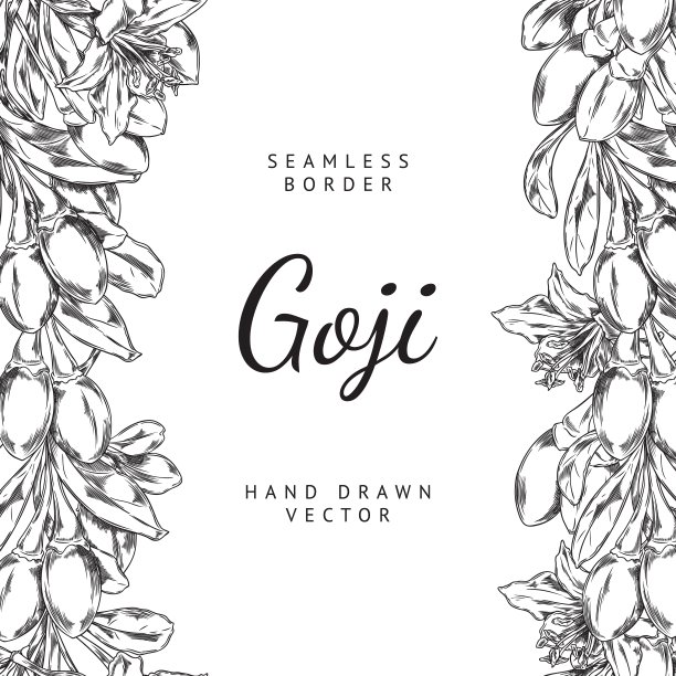 优雅的枸杞莓无缝矢量插图图片下载