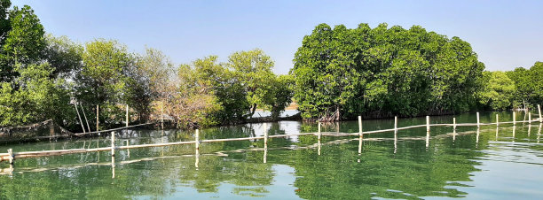 河的景色图片下载