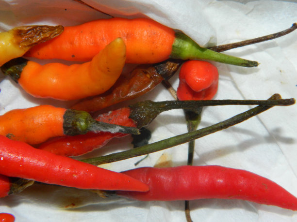 厨房里烹饪食材的微距照片或特写照片，也可以作为食品调味品图片下载