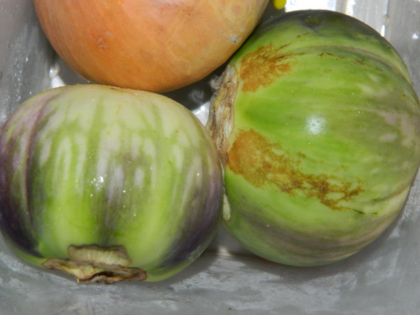 厨房里烹饪食材的微距照片或特写照片，也可以作为食品调味品图片下载