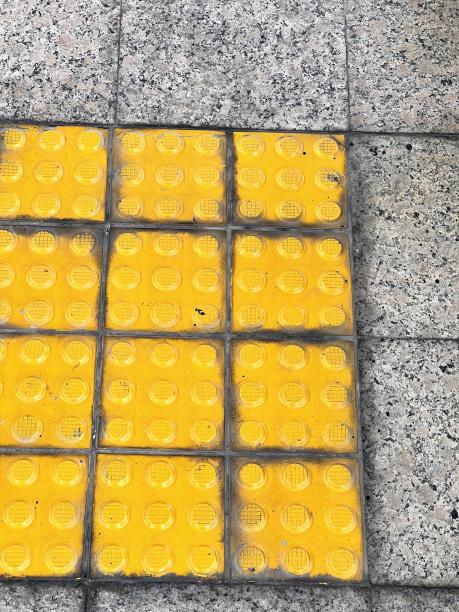 一张黄砖地板上的黑白猫的照片。图片下载