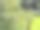 一张鸟坐在公园树上的照片。图片下载