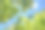向上看树木方向的天空-可持续发展图片-库存照片-太阳图片下载