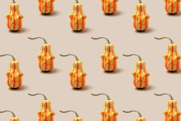 米色上装饰南瓜的最小图案。时尚唯美的照片，秋天的季节自然植物，万圣节和感恩节的趋势假期背景。许多葫芦或南瓜组成图片下载