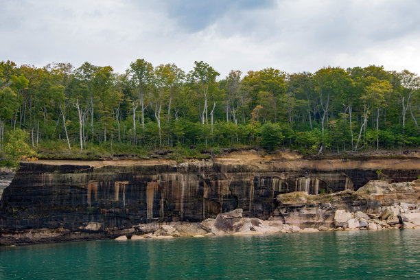 图片岩石NL -树栖息在悬崖边上图片下载