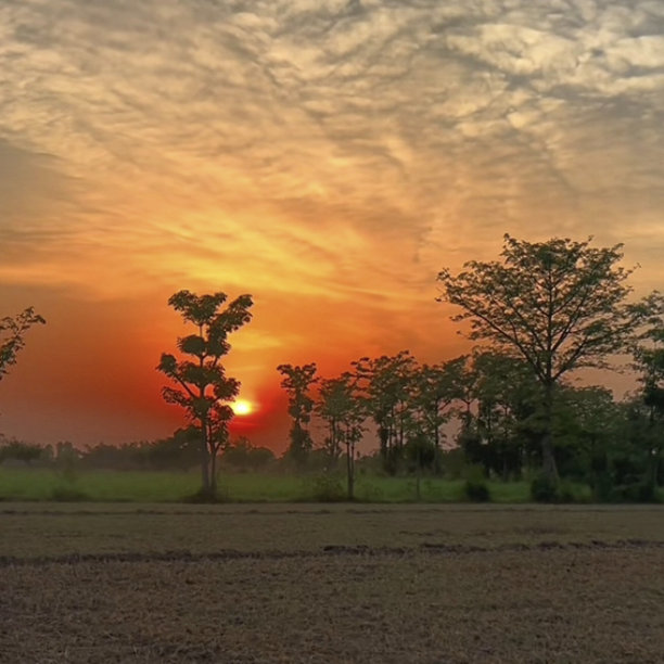 一个美丽的日落图片类ap自然背景天空蓝色和一些树木图片下载