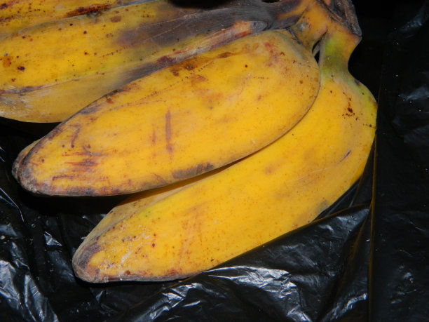 通常在开斋节或宰牲节期间供应的传统蛋糕或绿色背景菜肴的微距照片或特写照片图片下载