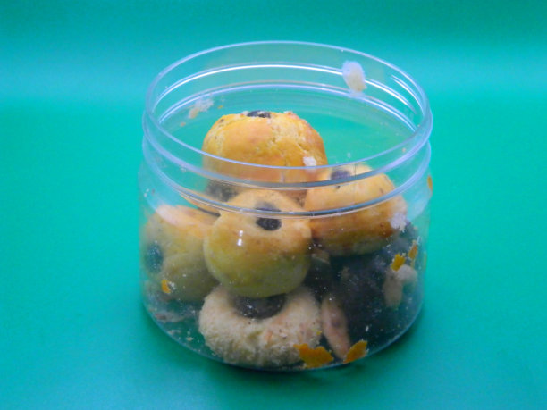 通常在开斋节或宰牲节期间供应的传统蛋糕或绿色背景菜肴的微距照片或特写照片图片下载