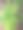 岩石地面上长满绿叶的植物的照片。图片下载