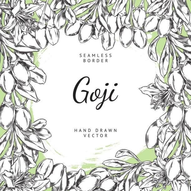 枸杞绿色强调矢量插图图片下载