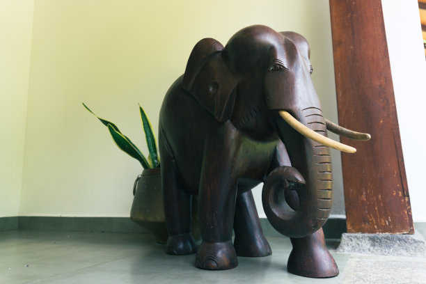 一个木制大象雕塑的特写照片。图片下载