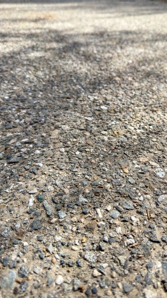 一张宁静的照片，从低角度捕捉砾石卵石路径，邀请观众探索其自然纹理和宁静的氛围。图片下载