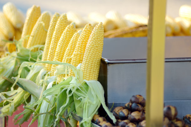 伊斯坦布尔，一辆手推车在露天出售煮熟和烤熟的玉米。传统的土耳其快餐。土耳其的街头小吃。图片下载