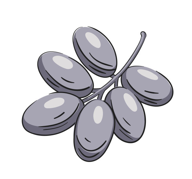 葡萄枝孤立在白色背景上图片下载